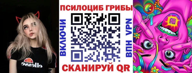 Псилоцибиновые грибы Psilocybine cubensis Сясьстрой